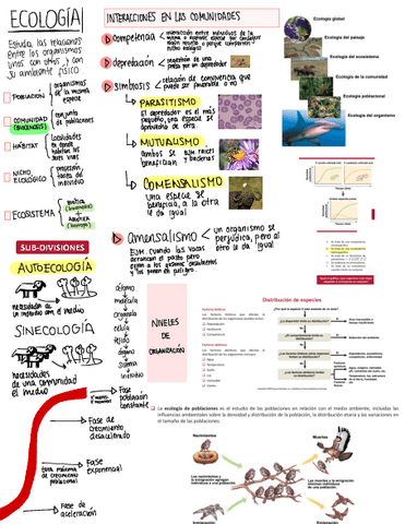 ECOLOGIA.pdf