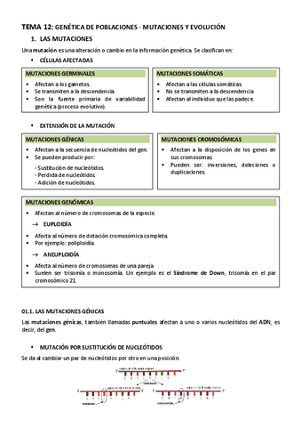 BIOLOGIA-TEMA-12-GENETICA-DE-POBLACIONES.-MUTACIONES-Y-EVOLUCION.pdf