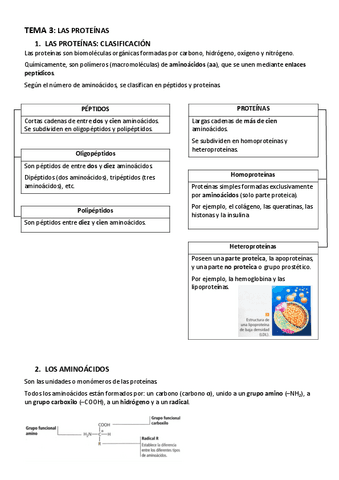 BIOLOGIA-TEMA-3-LAS-PROTEINAS.pdf