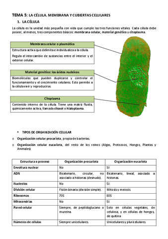 BIOLOGIA-TEMA-5-LA-CELULA.-MEMBRANA-Y-CUBIERTAS-CELULARES.pdf