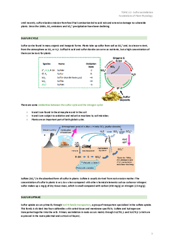 TOPIC-12-Sulfur-assimilation.pdf