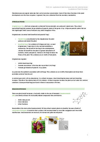 TOPIC-20-Application-of-plant-hormones.pdf
