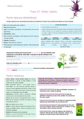 botanica-17.pdf