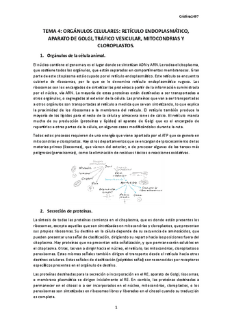 TEMA-4.-BIOLOGIA.pdf