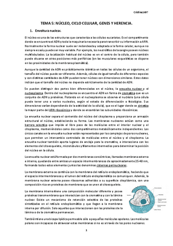 TEMA-5.-BIOLOGIA.pdf