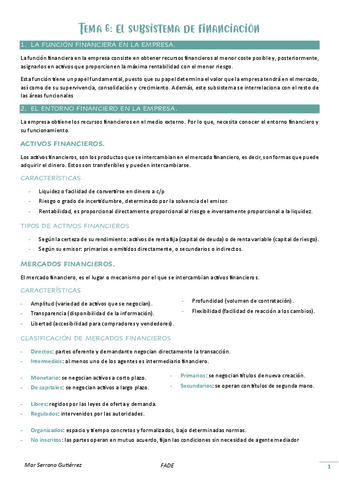 Tema-6.-El-subsistema-de-financiacion.pdf