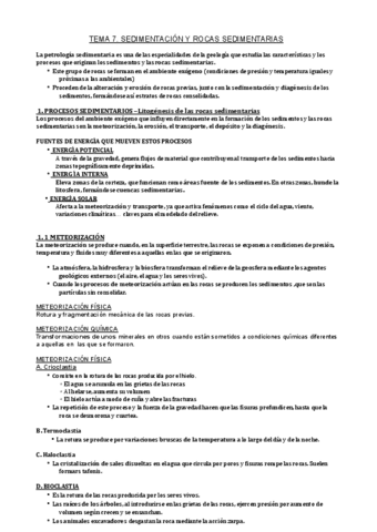 TEMA-7.-SEDIMENTACION-Y-ROCAS-SEDIMENTARIAS.pdf