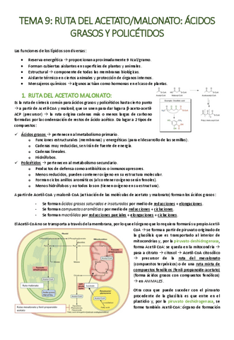 TEMA-9-Ruta-del-acetato-malonato-acidos-grasos-y-policetidos.pdf