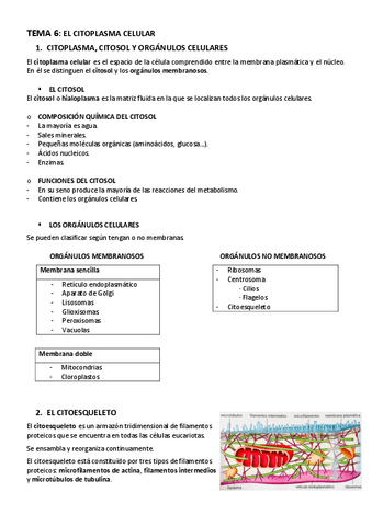 BIOLOGIA-TEMA-6-EL-CITOPLASMA-CELULAR.pdf