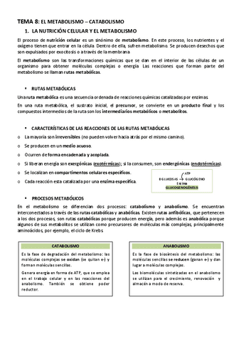 BIOLOGIA-TEMA-8-EL-METABOLISMO-CATABOLISMO.pdf