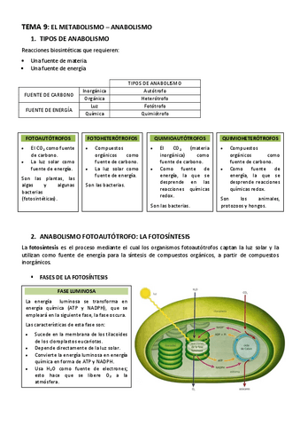 BIOLOGIA-TEMA-9-EL-METABOLISMO-ANABOLISMO.pdf