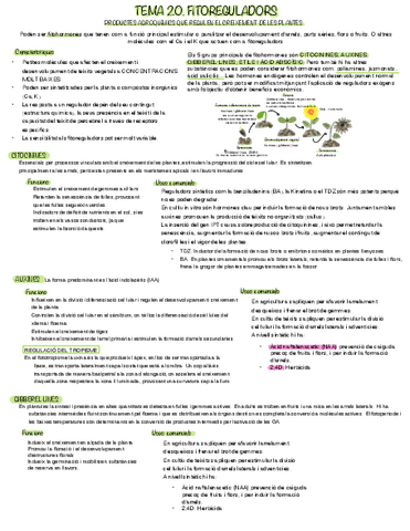 Resum-tema-20-FVA.pdf