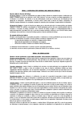 Temas-Derecho-Sindical-completos.pdf