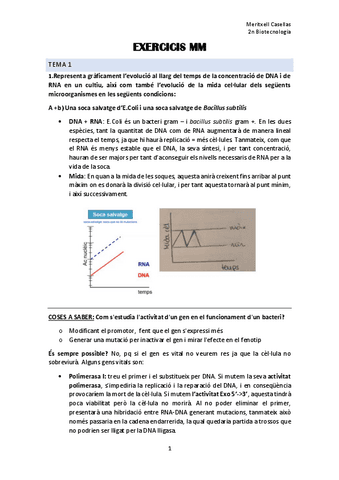 Exercicis-T.1-T.3.pdf