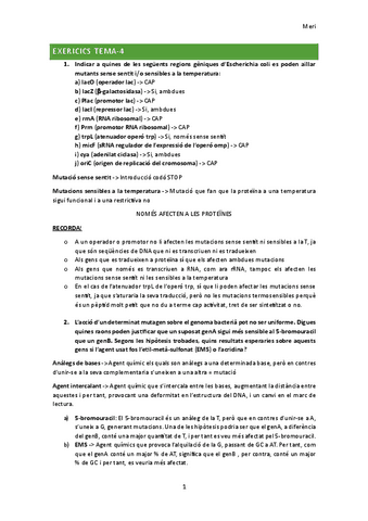 EXERCICIS-TEMA-4-11.pdf