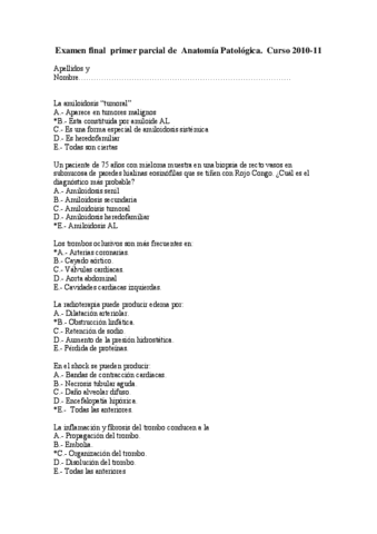 examen-final-primer-parcial-AP-2011.pdf