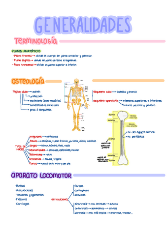 Generalidades (Temas 1-8).pdf