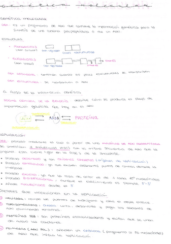 GENETICA-MOLECULAR.pdf
