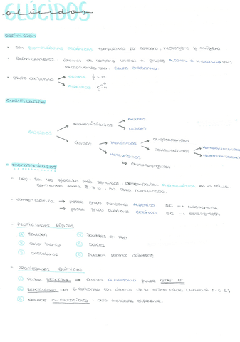 GLUCIDOS.pdf