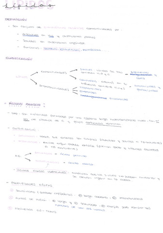 LIPIDOS.pdf