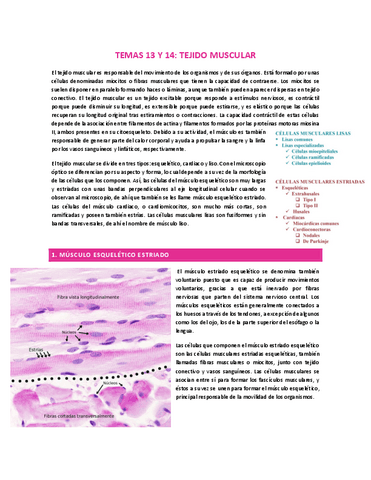 TEMAS-13-Y-14-TEJIDO-MUSCULAR.pdf