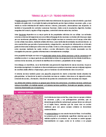 TEMAS-15-16-Y-17-TEJIDO-NERVIOSO.pdf