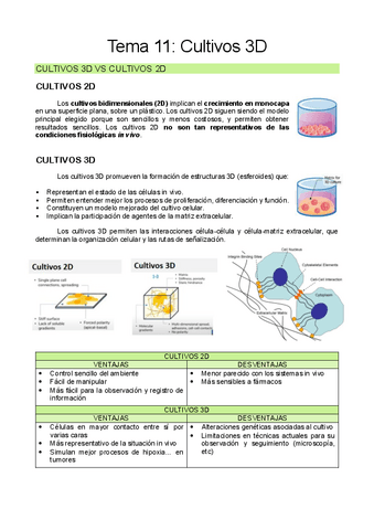 Tema-11-CULT.pdf
