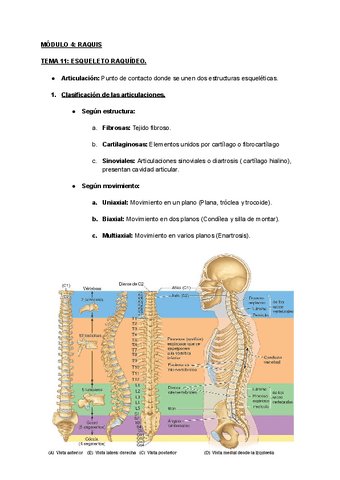 MODULO-4-RAQUIS.pdf