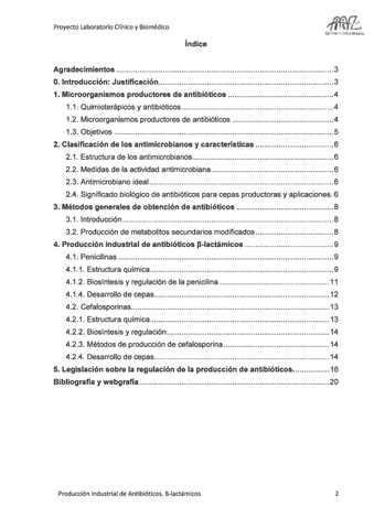 Proyecto-Antibioticos-LCB.pdf