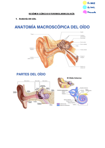 RESUMEN-CLINICA-II-OTORRINOLARINGOLOGIA-1.pdf