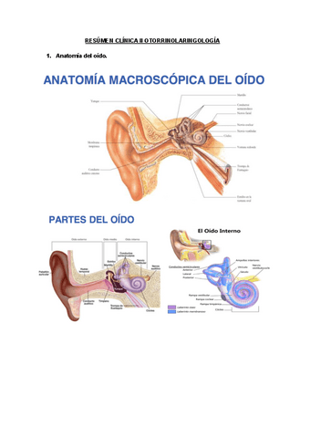 RESUMEN-CLINICA-II-OTORRINOLARINGOLOGIA.pdf