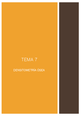 RE-tema-7.pdf