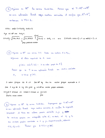 Ejs-lineales.pdf