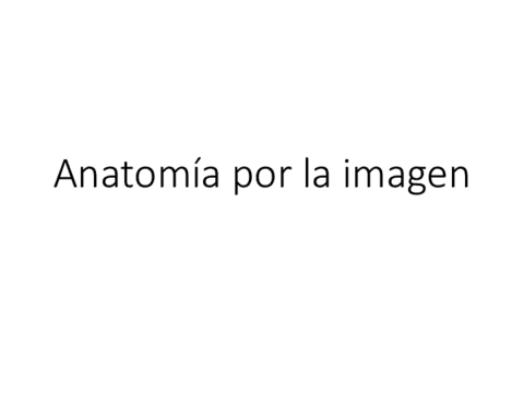 Anatomia7.pdf