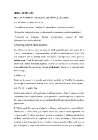 SISTEMA-URINARIO-apuntes.pdf