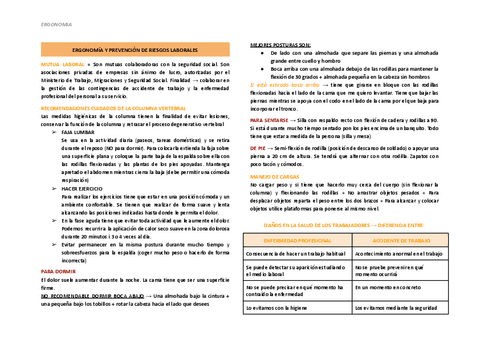 ESQUEMA-ERGONOMIA.pdf