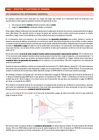 Beneficio-y-elasticidad-de-demanda.pdf