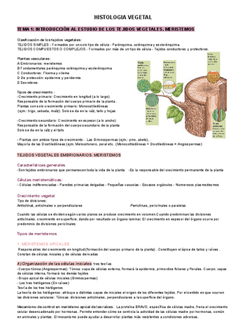 HISTOLOGIA-vegetal.pdf