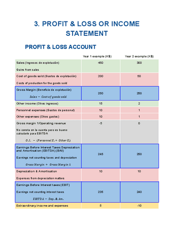 3.-Profit-and-Loss-or-income-statement.pdf