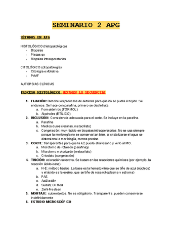 SEMINARIO-2-APG.pdf