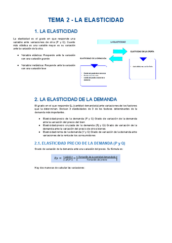 TEMA-2-LA-ELASTICIDAD.pdf