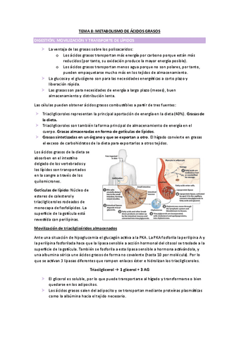 TEMA-8-BIOQUIMICA.pdf