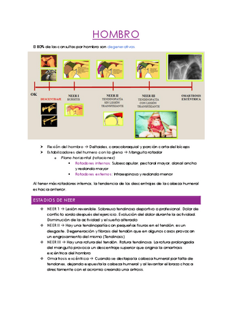 Lluis-Hombro-Teorico.pdf