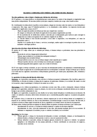 Temas-Derecho-del-Trabajo-Completos.pdf