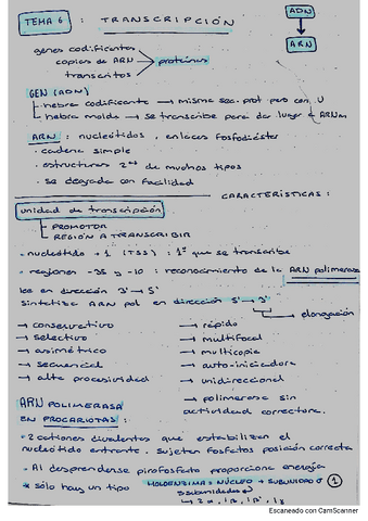 esquema-TEMA-6-bioquimica.pdf