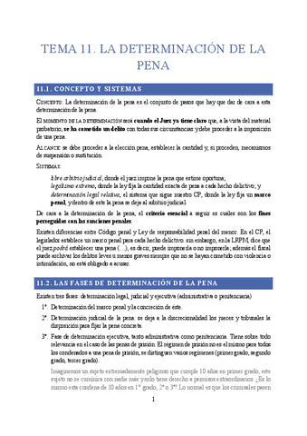 TEMA-11.pdf