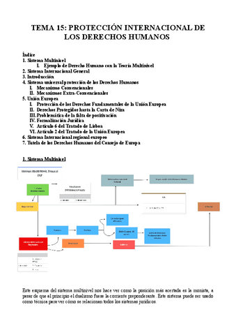 TEMA-15-PROTECCION-INTERNACIONAL-DE-LOS-DERECHOS-HUMANOS.pdf