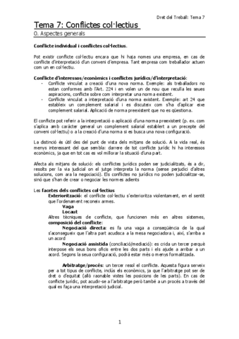 Tema-7-conflictes-colectius.pdf