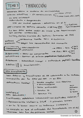 esquema-TEMA-7-bioquimica.pdf