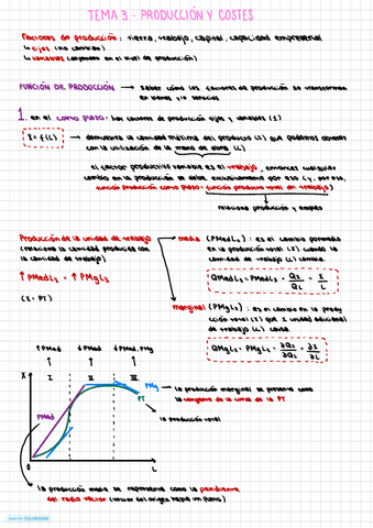 Apuntes-micro-tema-3-y-4.pdf